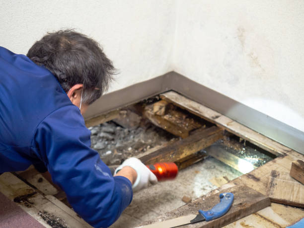 Best Crawl Space Mold Removal  in Oconomowoc, WI