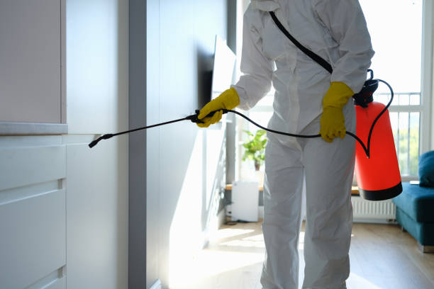 Best Commercial Mold Removal  in Oconomowoc, WI