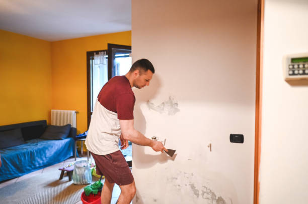 Best Toxic Mold Removal  in Oconomowoc, WI