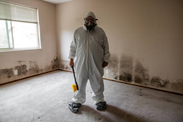 Best Commercial Mold Removal  in Oconomowoc, WI