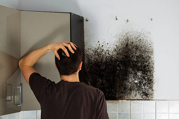 Best Office Mold Removal Services  in Oconomowoc, WI
